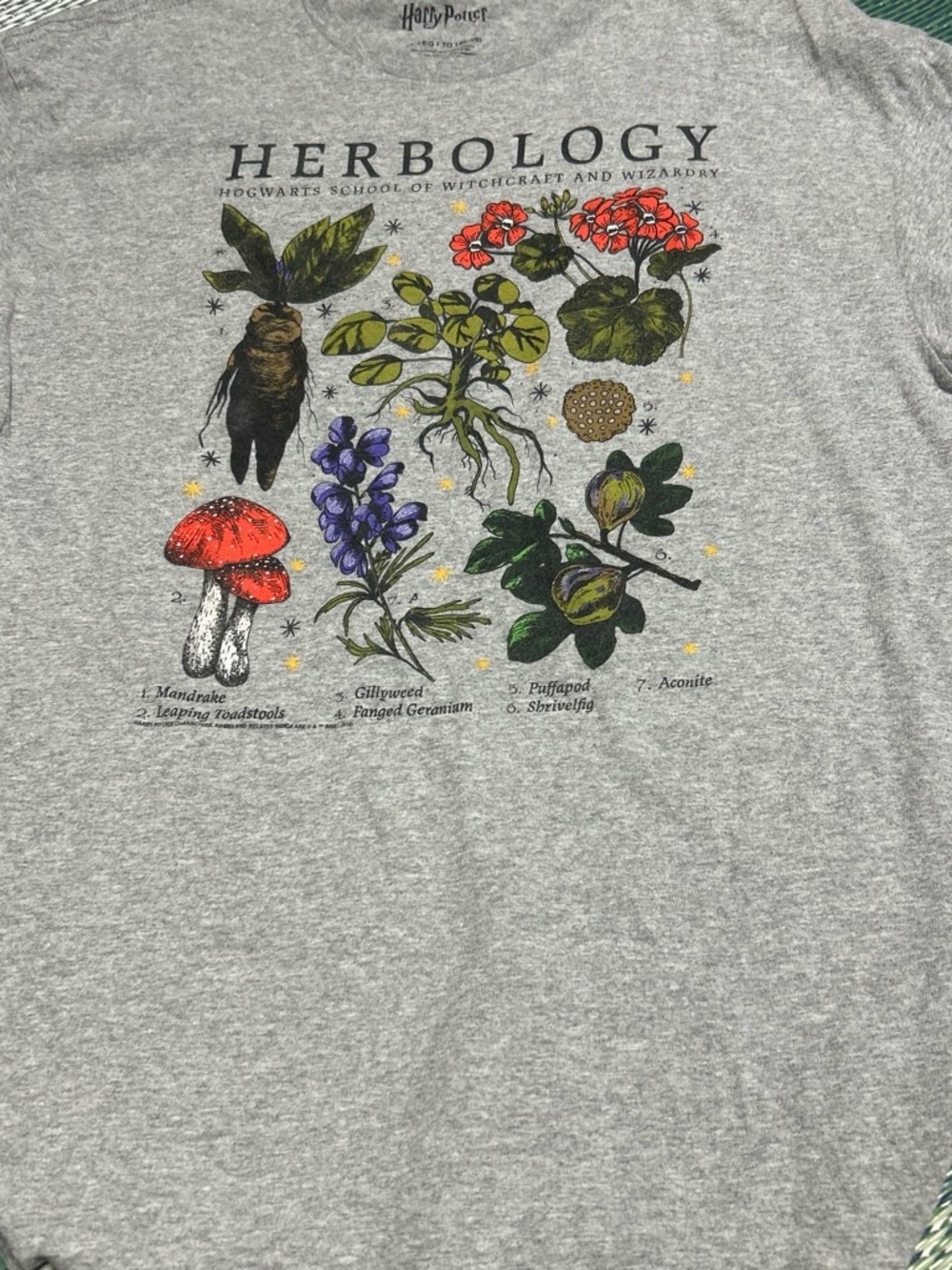 Harry Potter Herbology Graphic Tee - Gray with Multicolor Botanical Print